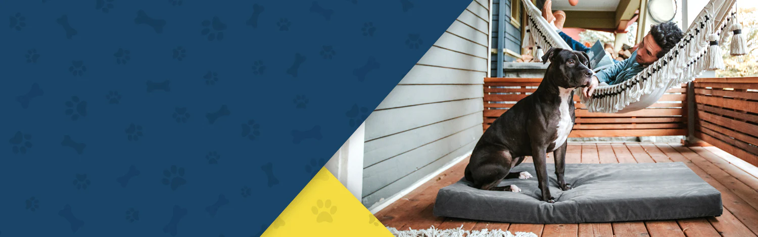 Indestructible Comfort for Every Dog
