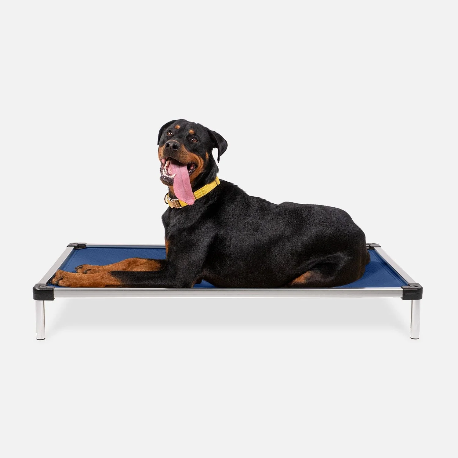 Chew Proof Armored™ Ripstop Dog Bed - Open Box - Image 15