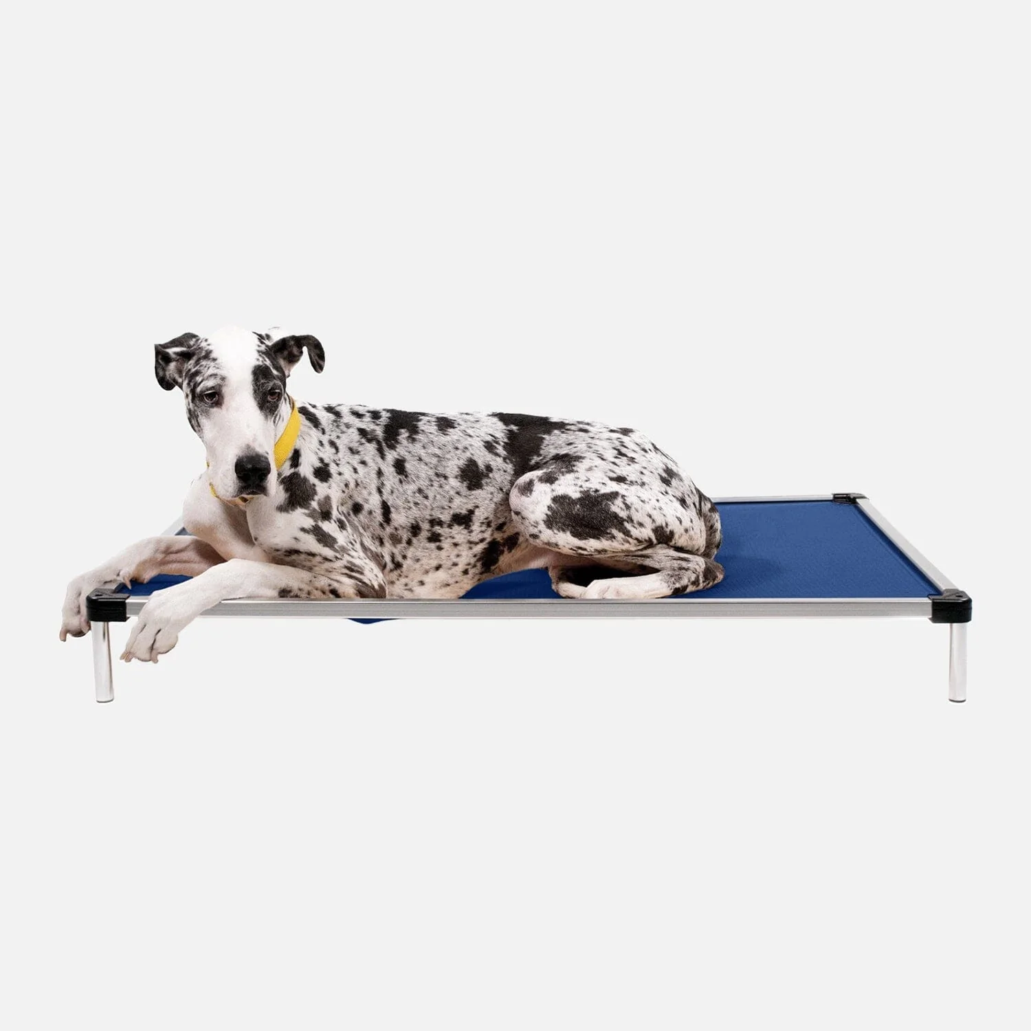 Chew Proof Armored™ Ripstop Dog Bed - Open Box - Image 12