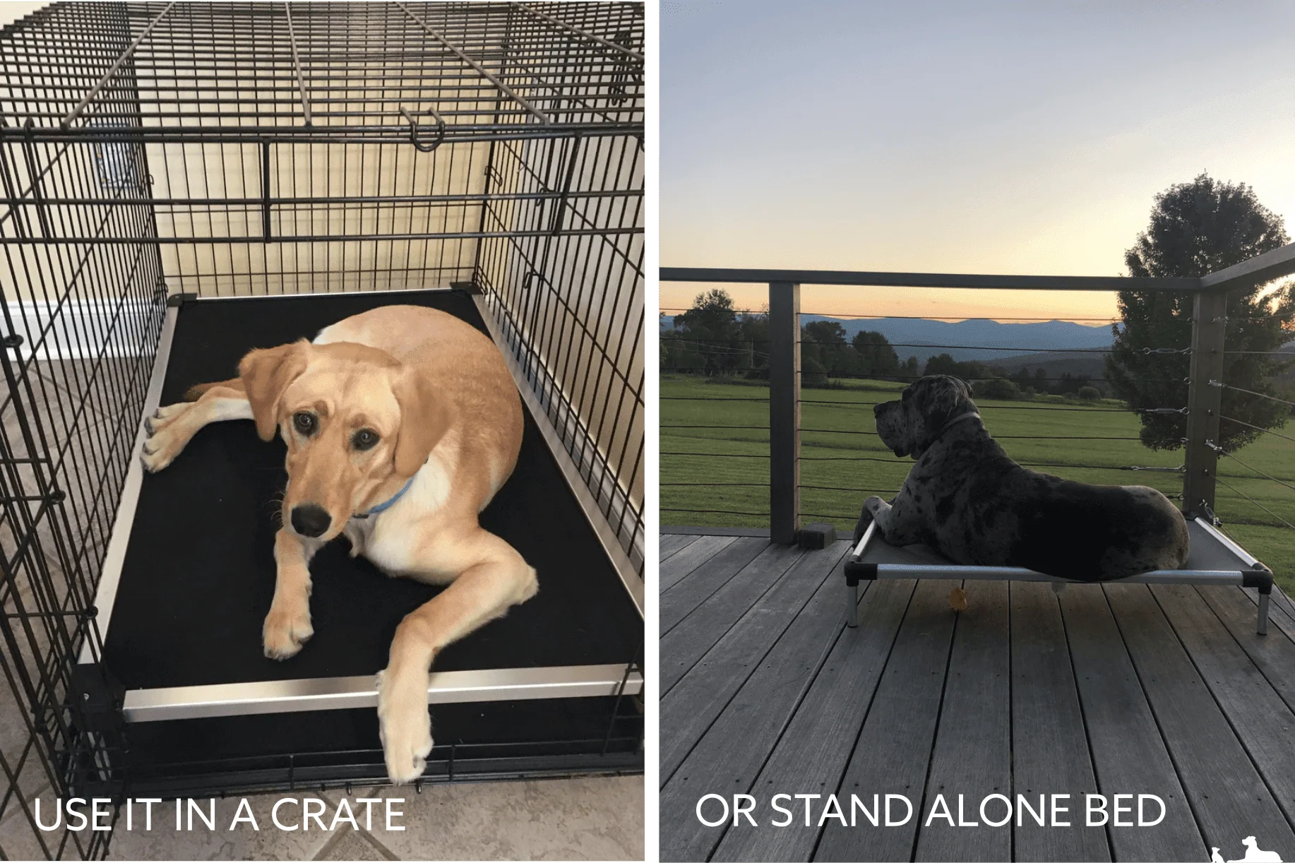 Chew Proof Armored™ Ripstop Elevated Dog Bed - Image 24
