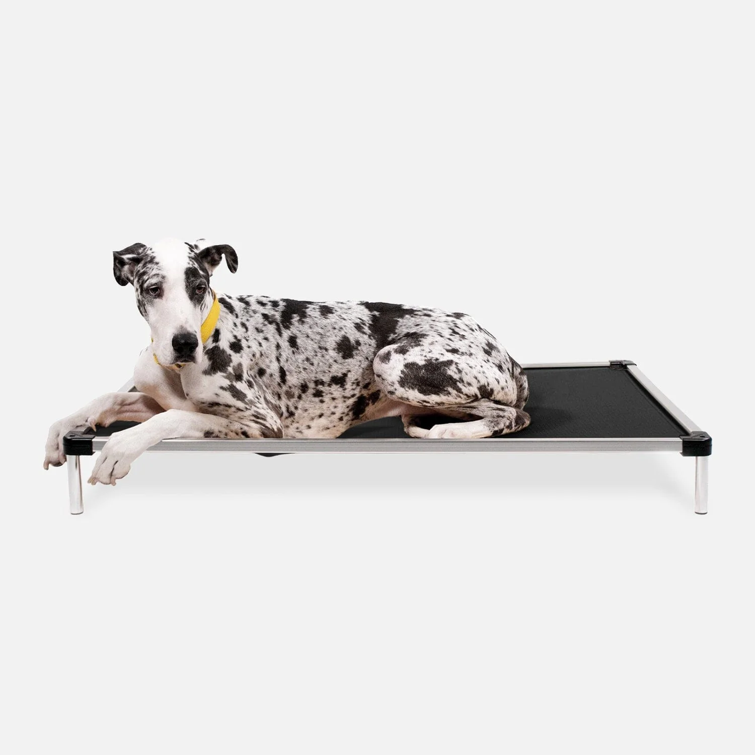 Chew Proof Armored™ Ripstop Dog Bed - Open Box - Image 17