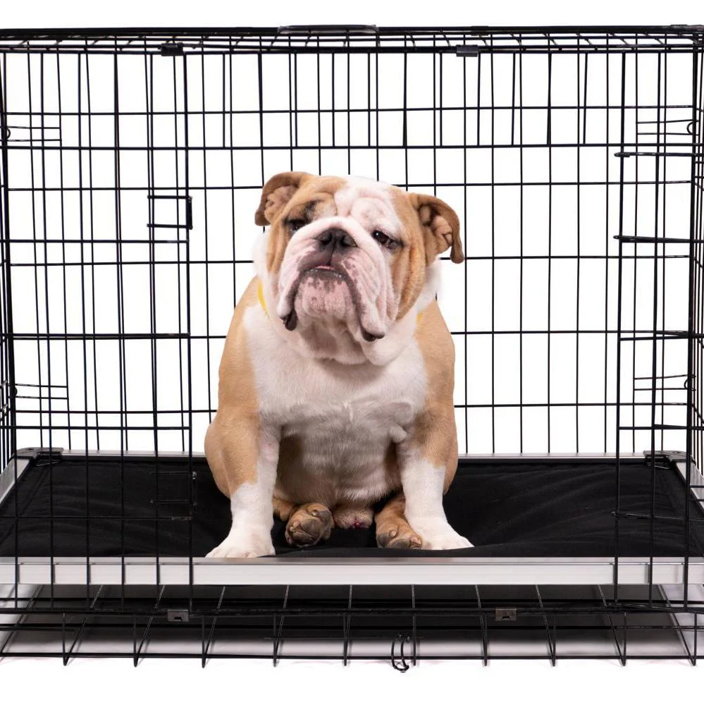 Chew Proof Armored™ Padded Dog Crate Bed - Image 24
