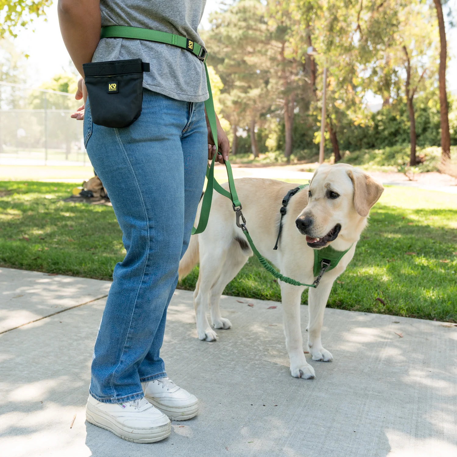 K9 Everyday™ Dog Harness - Image 5