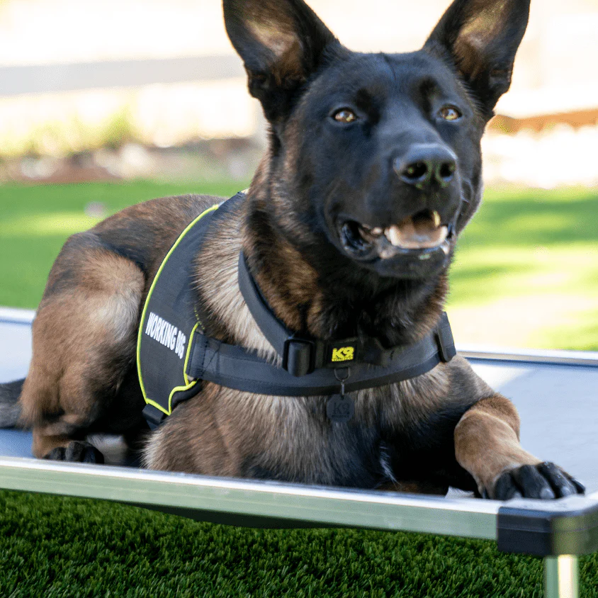 K9 Pro™ Dog Harness - Image 3