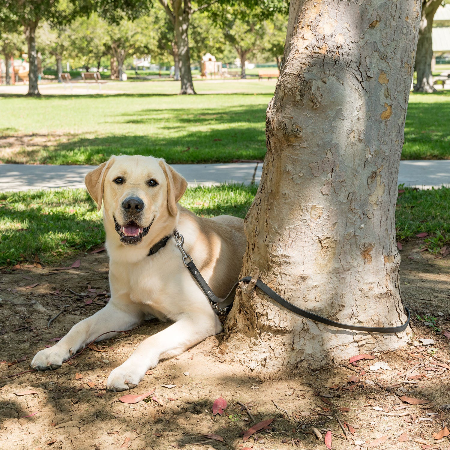 K9 Training™ Vegan Leather Dog Leash - Image 8