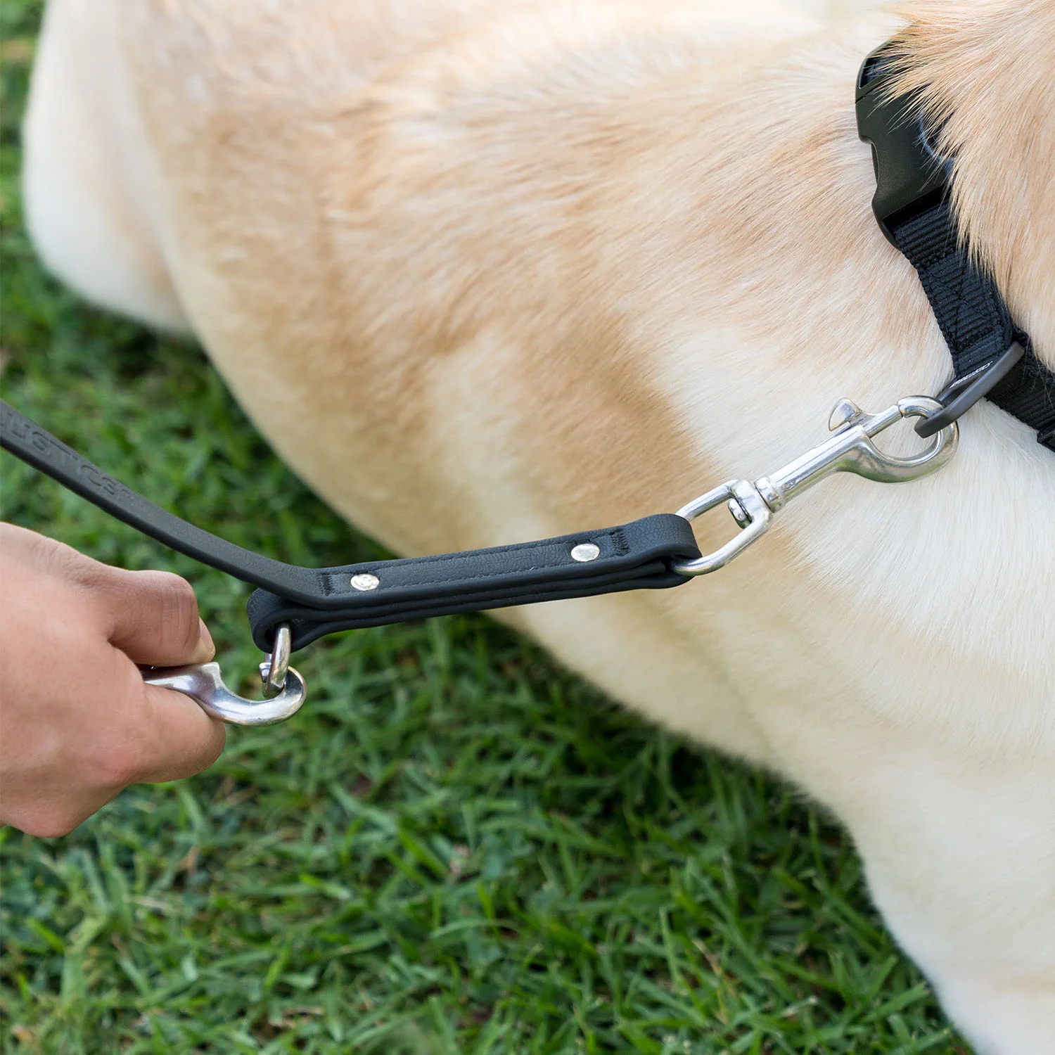 K9 Training™ Vegan Leather Dog Leash - Image 9