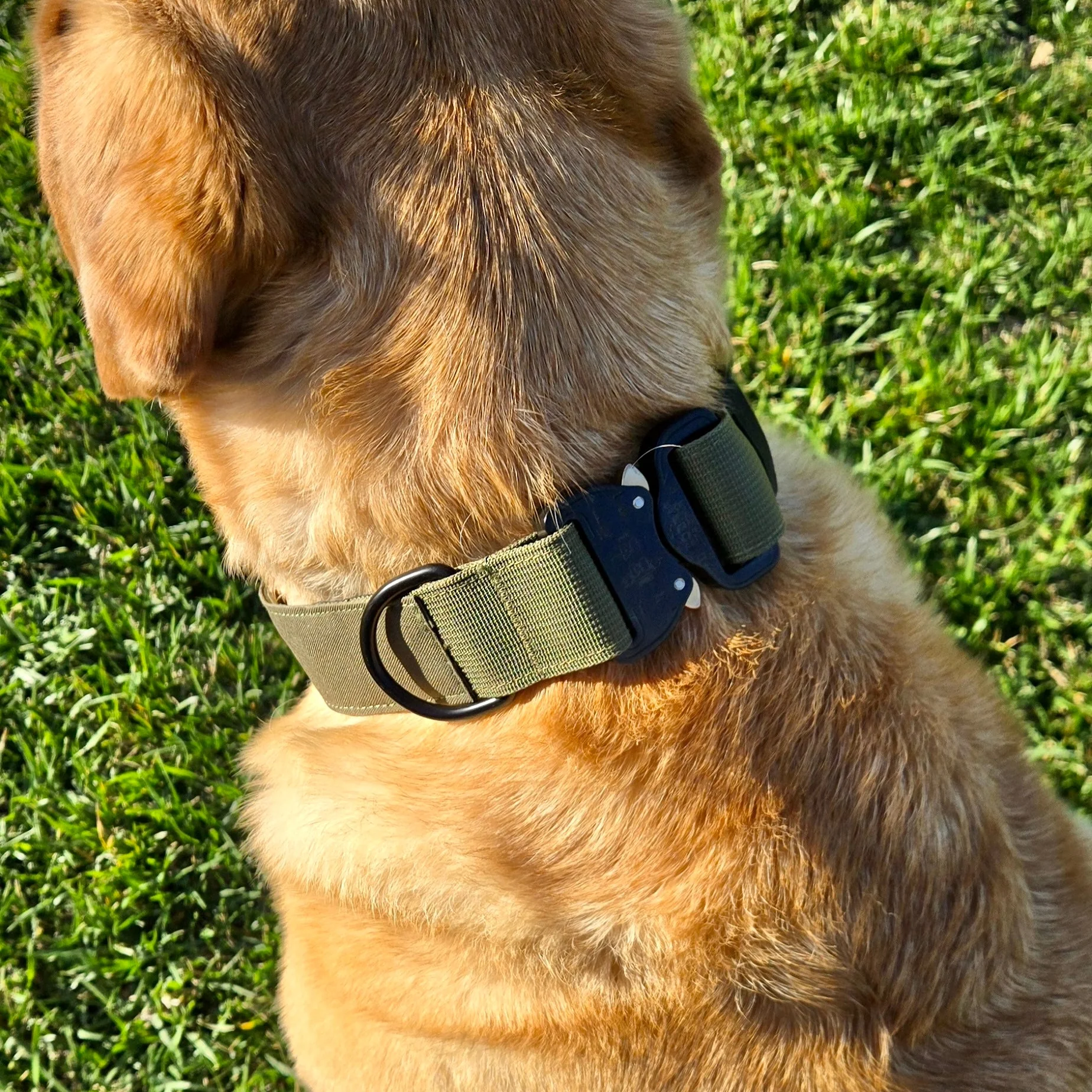 K9 Pro™ Collar — Built for Maximum Strength and Control - Image 8