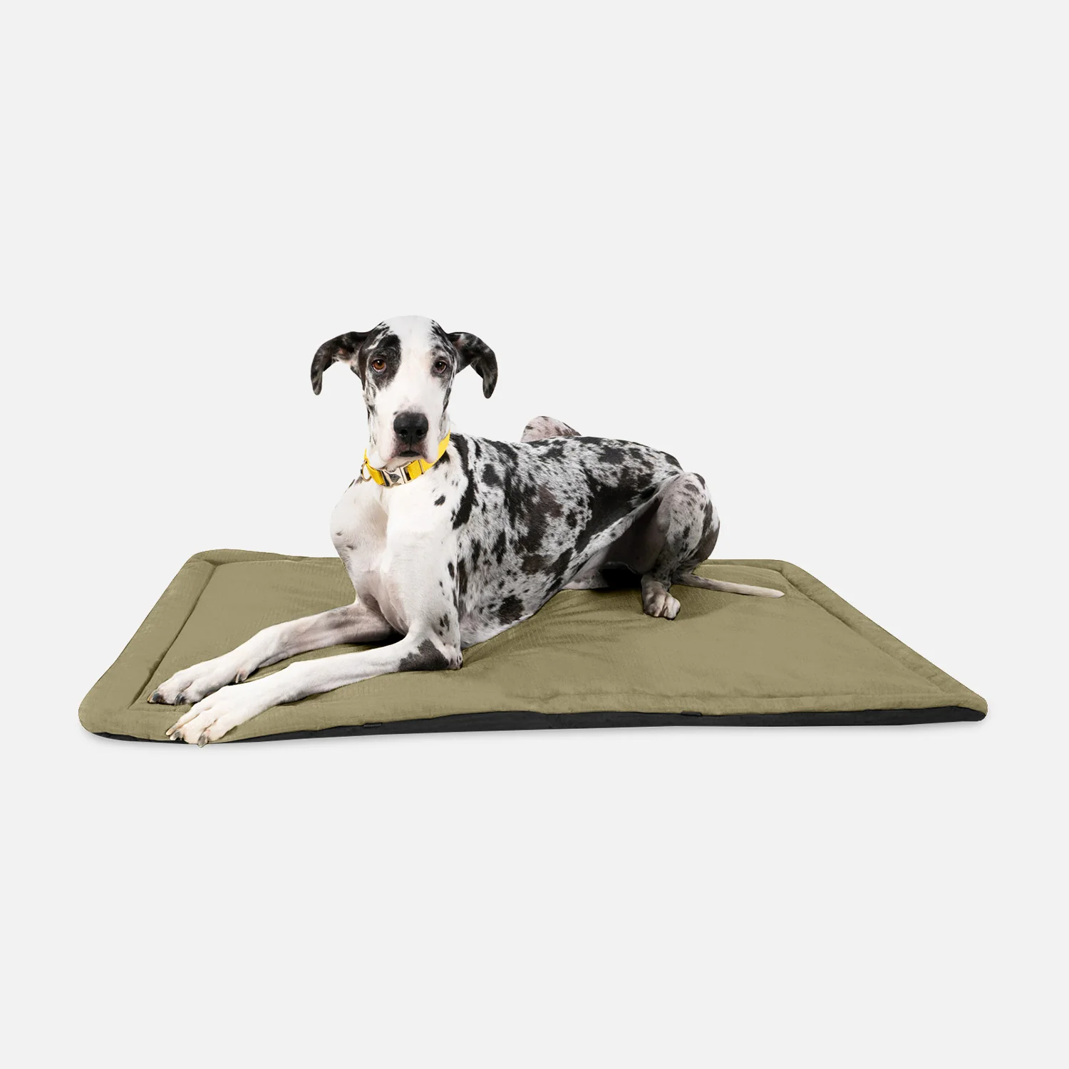 Tough Ripstop™ Dog Crate Pad - Image 12