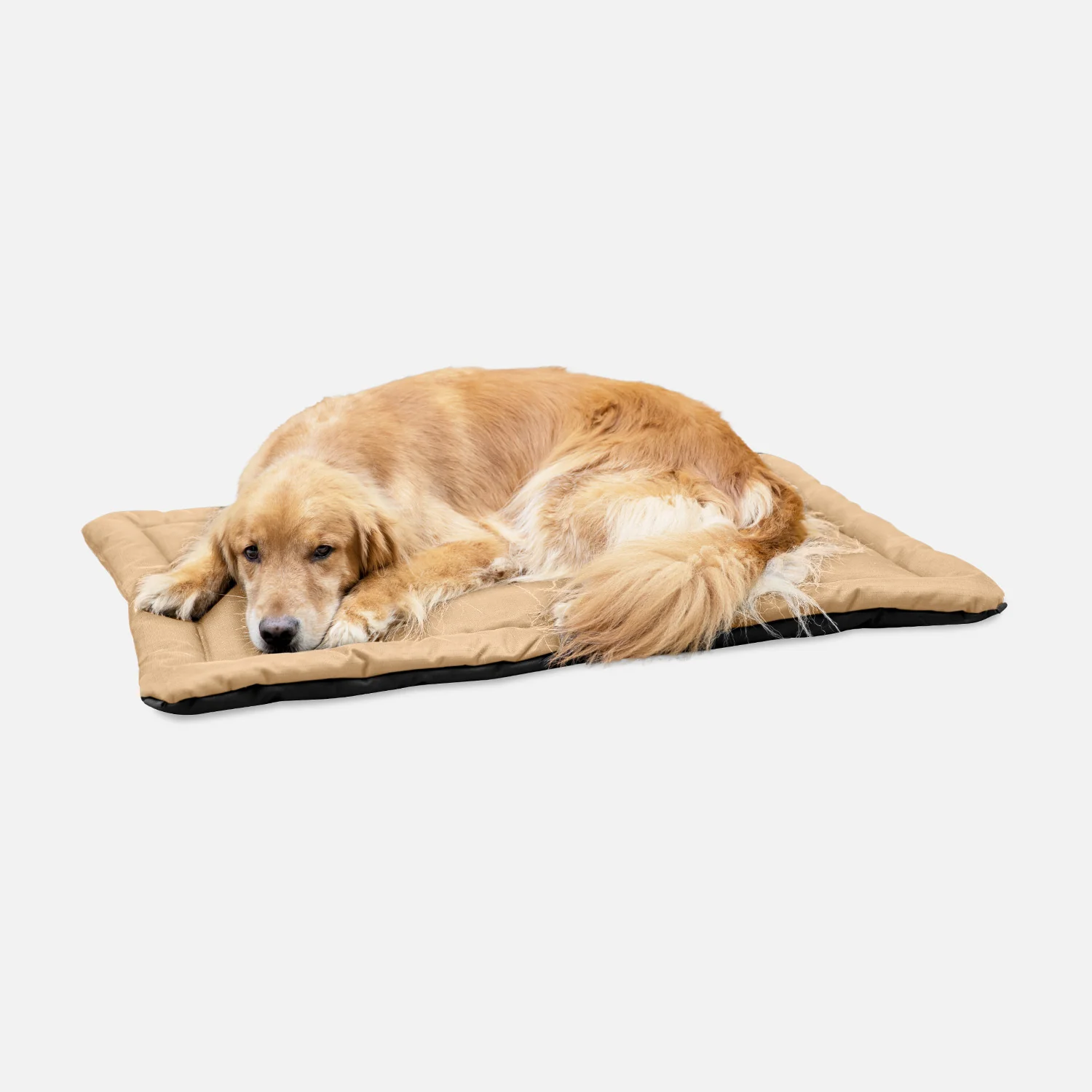 Tough Ripstop™ Dog Crate Pad - Image 22