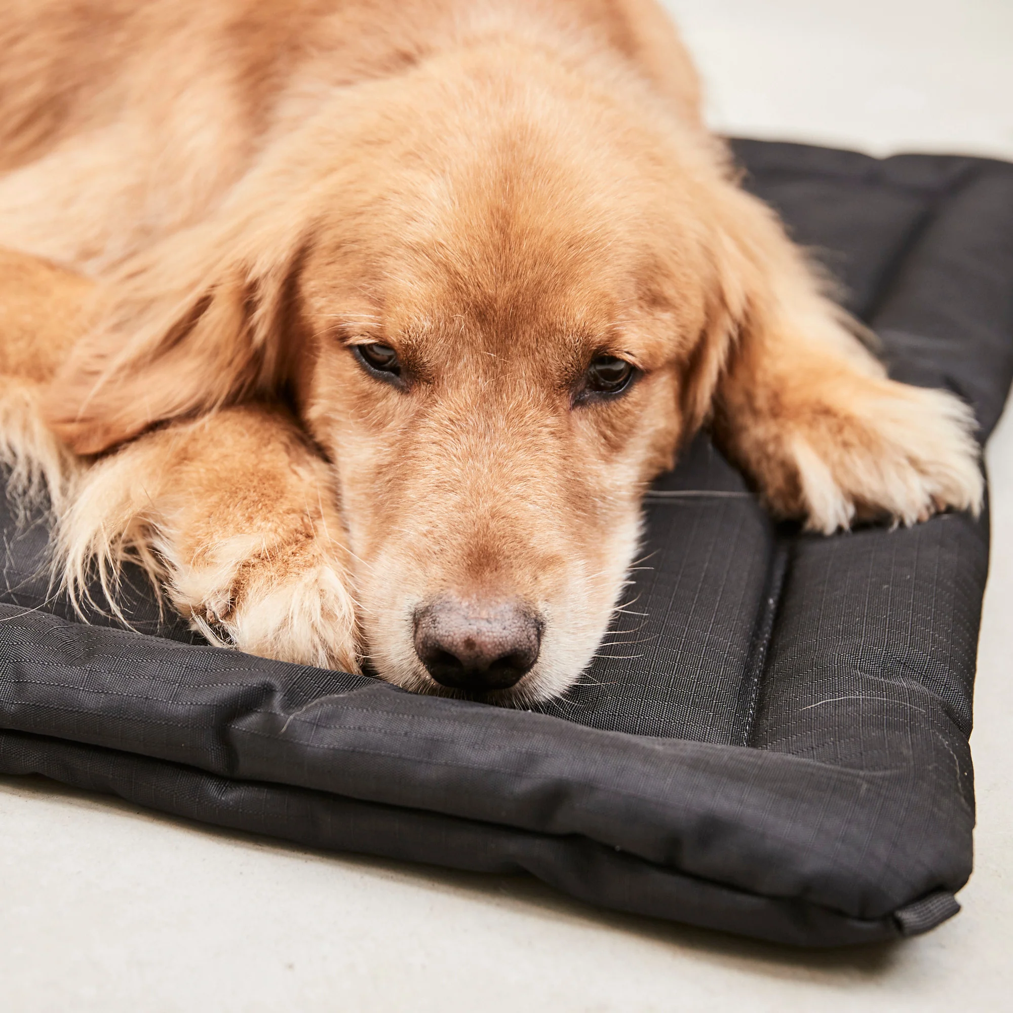 Tough Ripstop™ Dog Crate Pad - Image 31