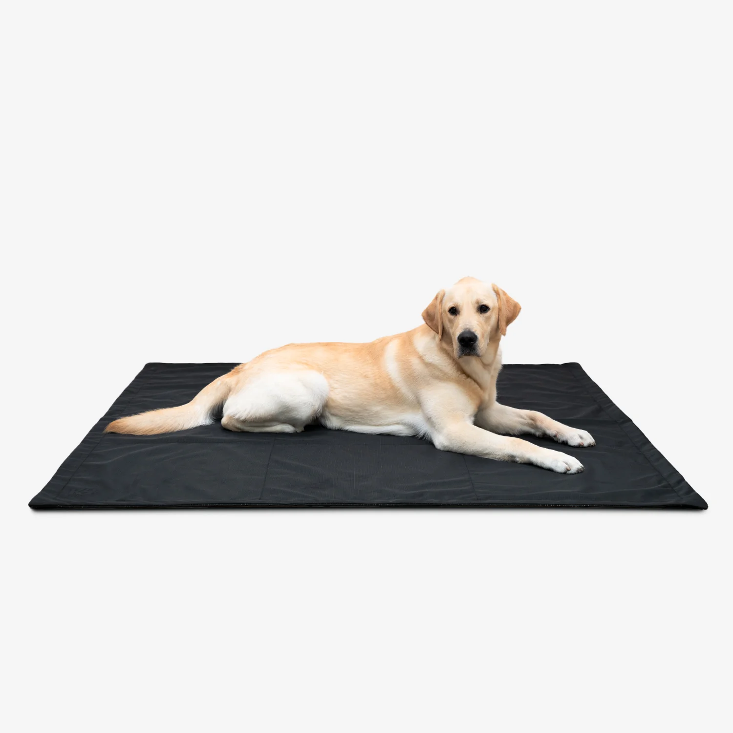 Tough Ripstop™ Portable Dog Tarp - Image 4