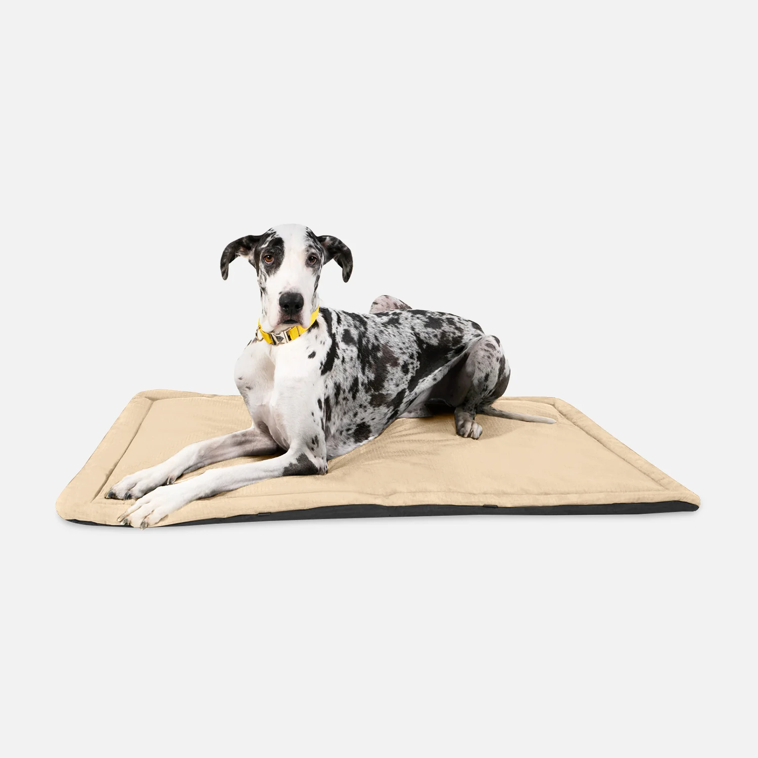 Tough Ripstop™ Dog Crate Pad - Image 24