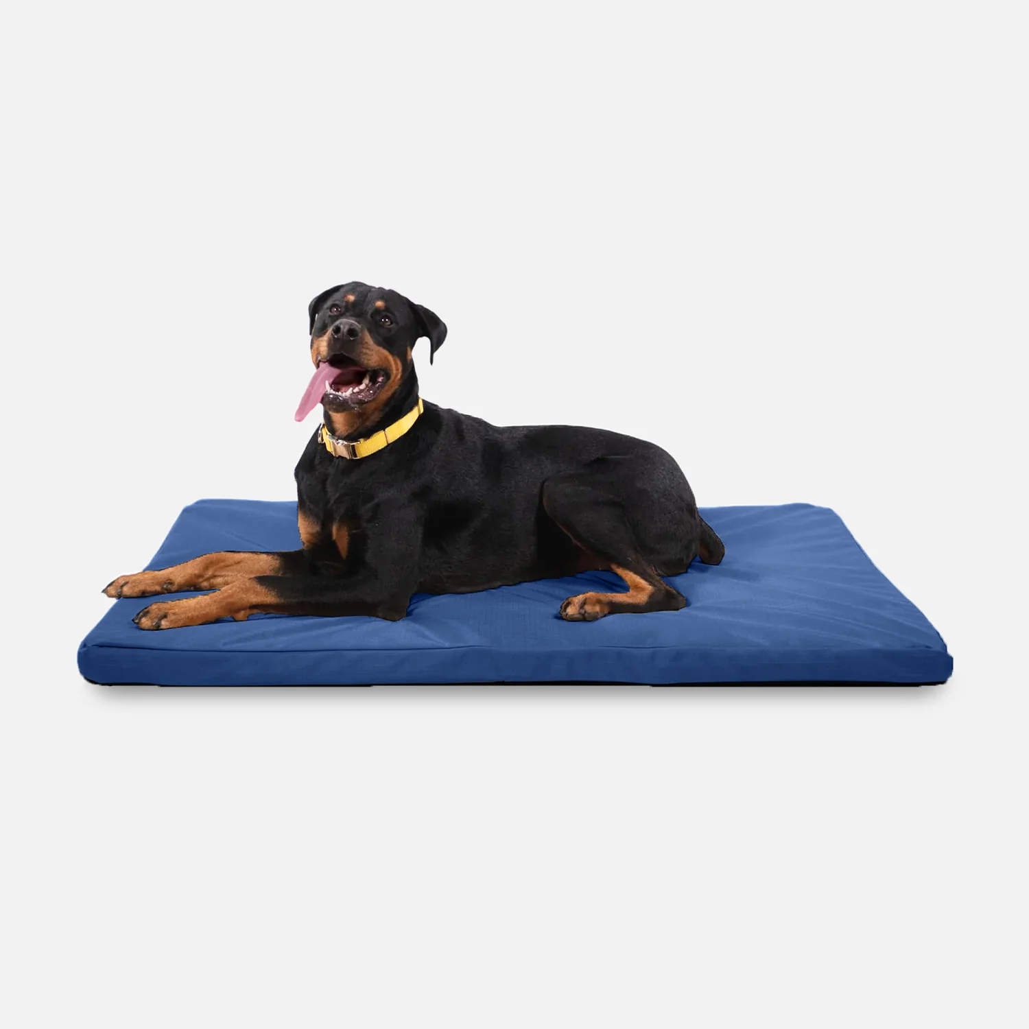 Tough Ripstop™ Orthopedic Dog Crate Bed - Image 13