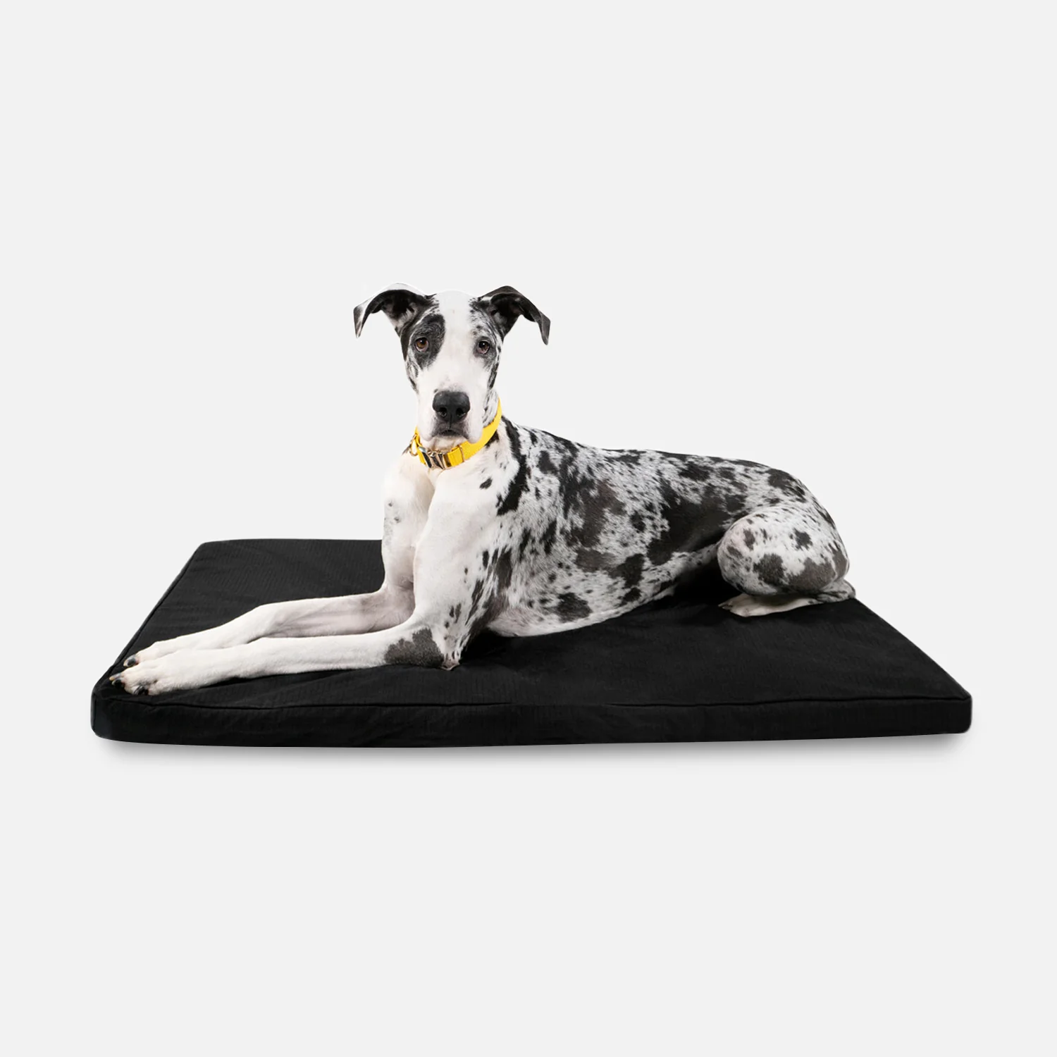 Tough Ripstop™ Orthopedic Dog Crate Bed - Image 14