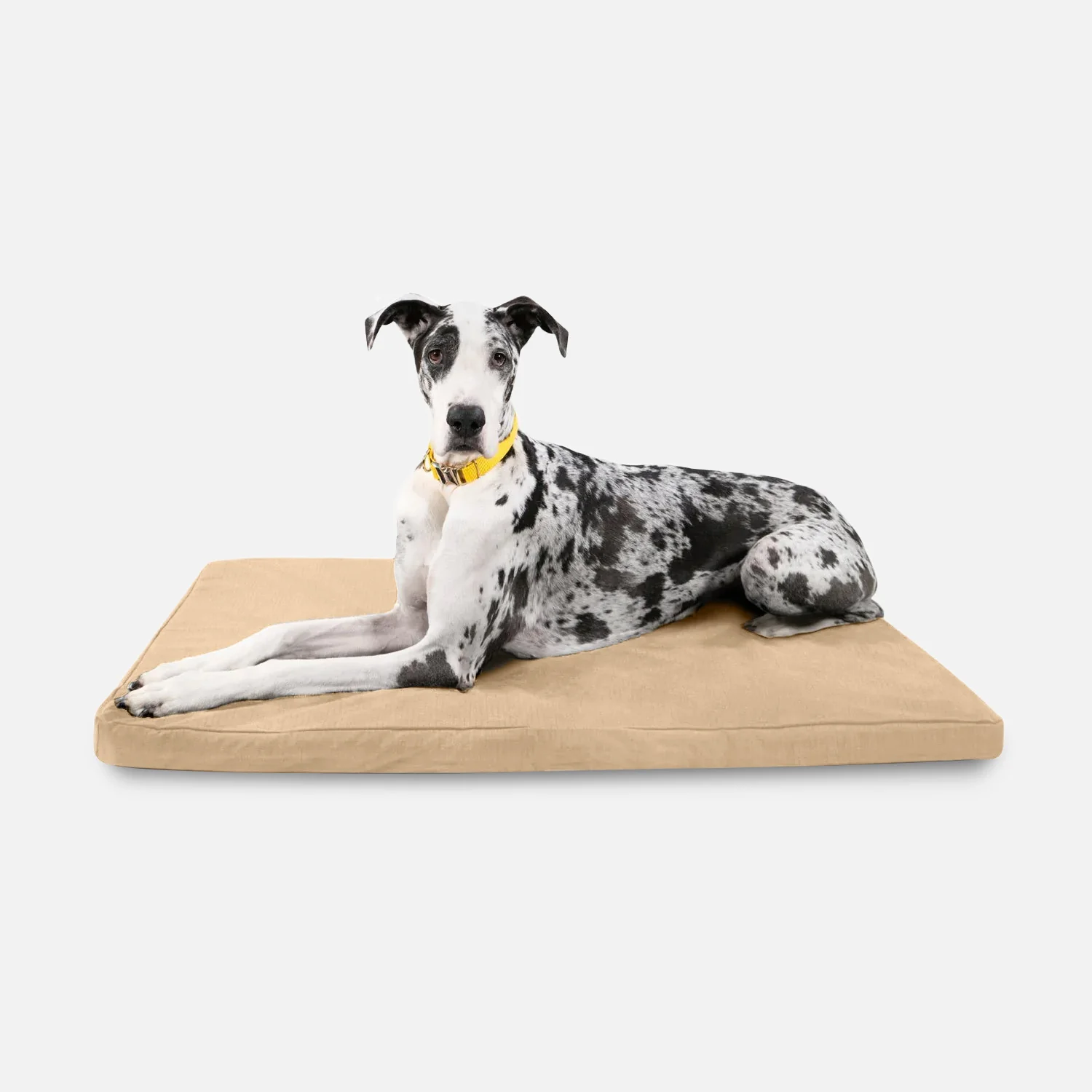Tough Ripstop™ Orthopedic Dog Crate Bed - Image 15