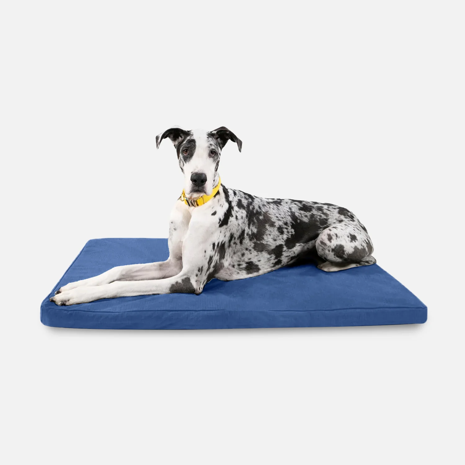 Tough Ripstop™ Orthopedic Dog Crate Bed - Image 16