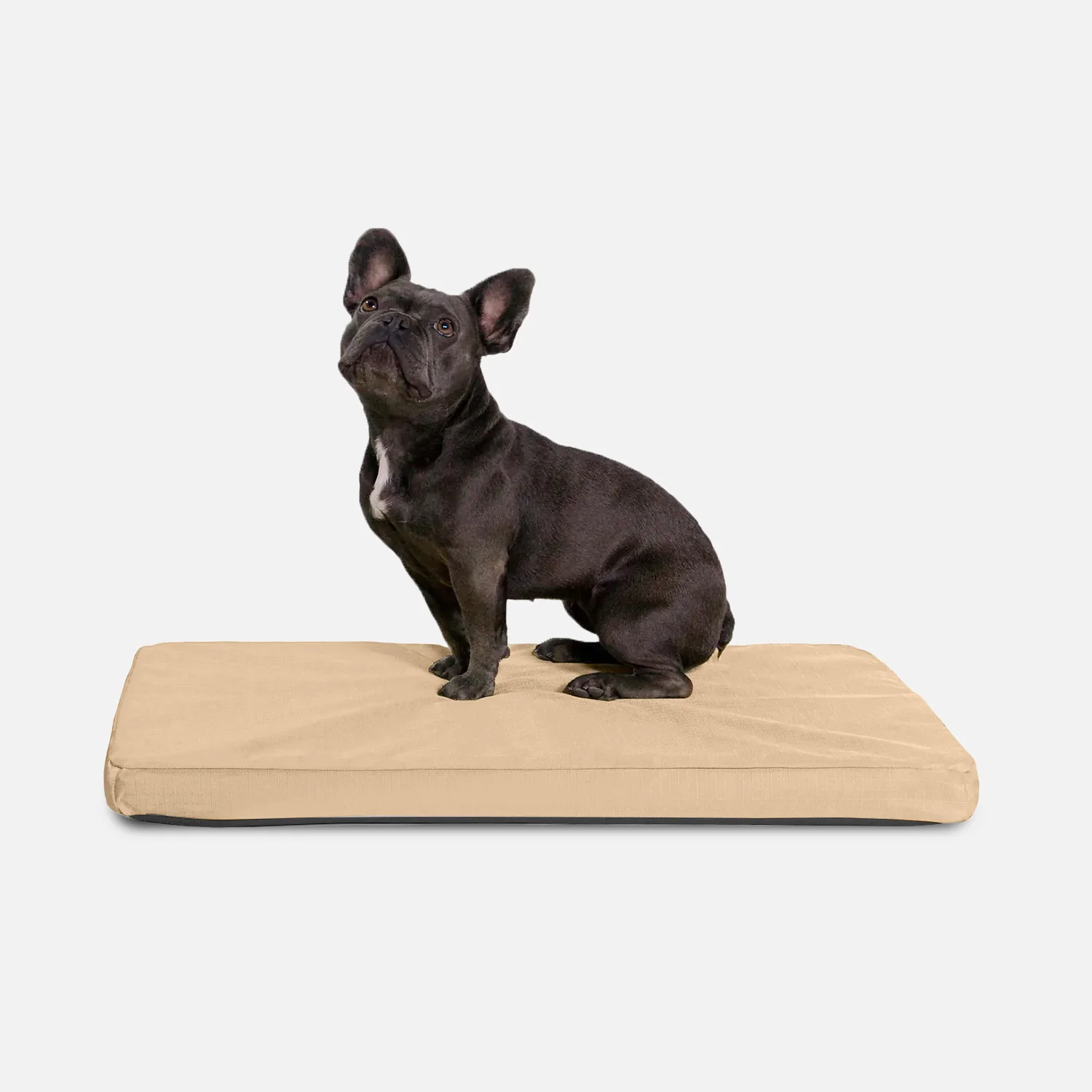 Tough Ripstop™ Orthopedic Dog Crate Bed - Image 3