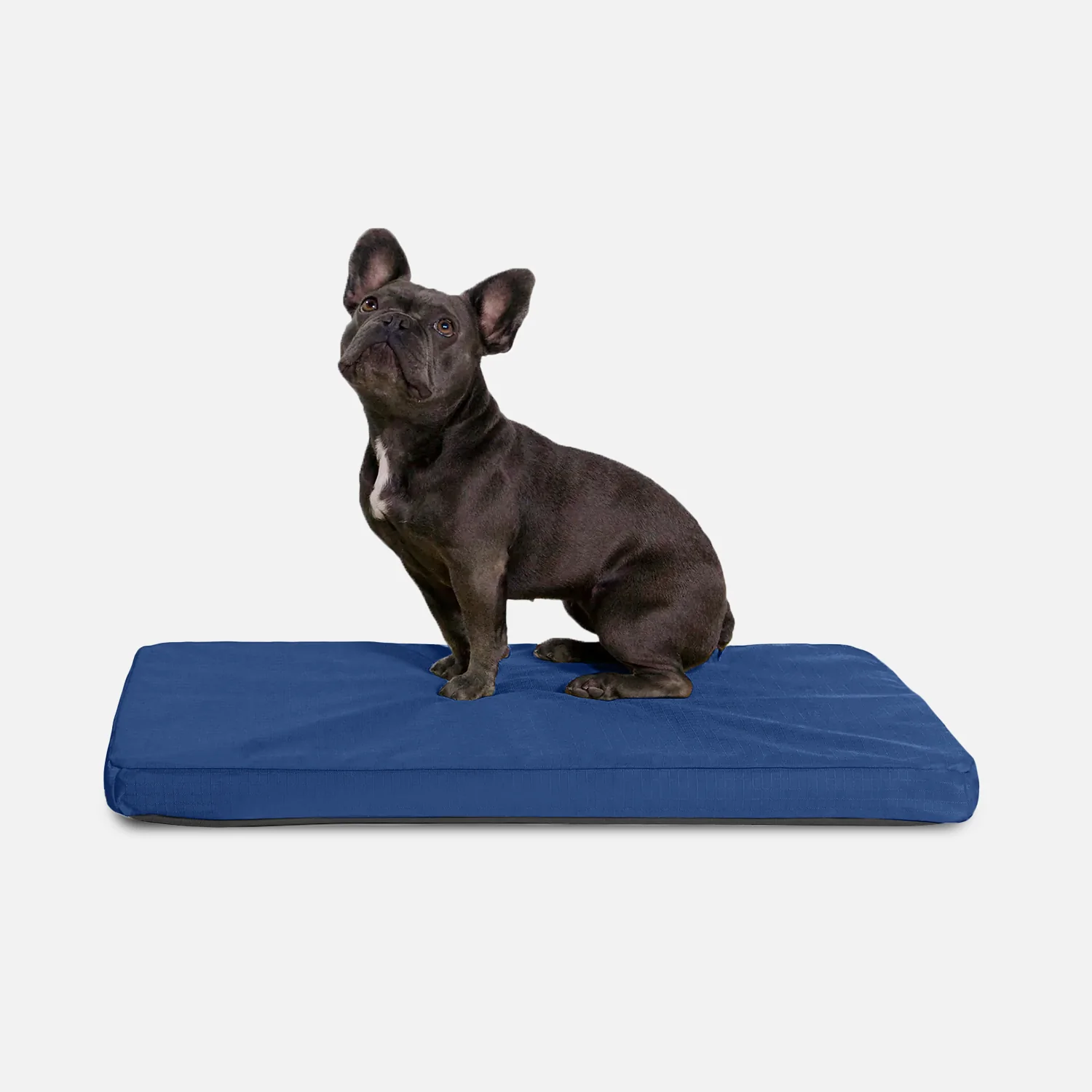 Tough Ripstop™ Orthopedic Dog Crate Bed - Image 4
