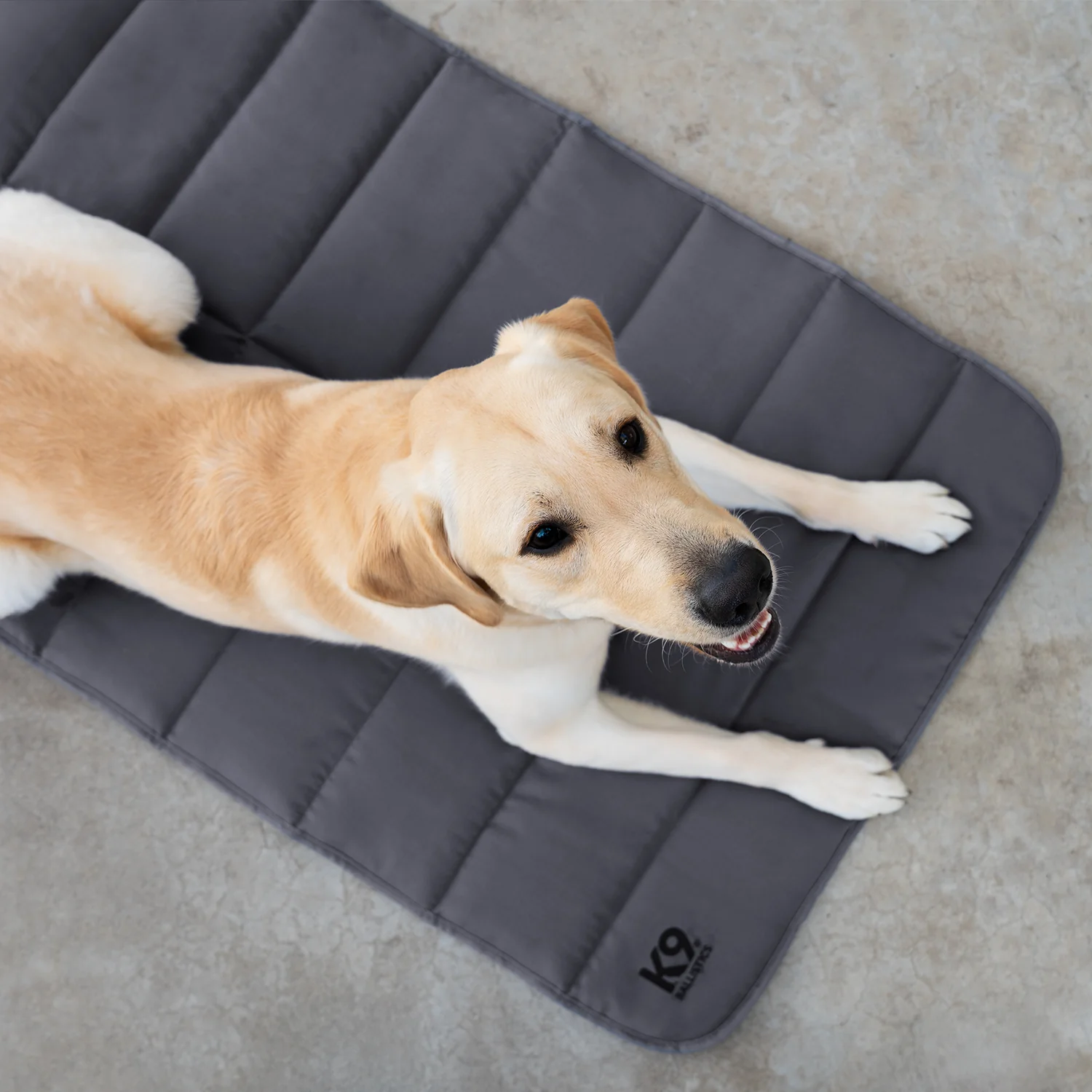 Tough Ripstop™ Dog Travel Mat - Image 4