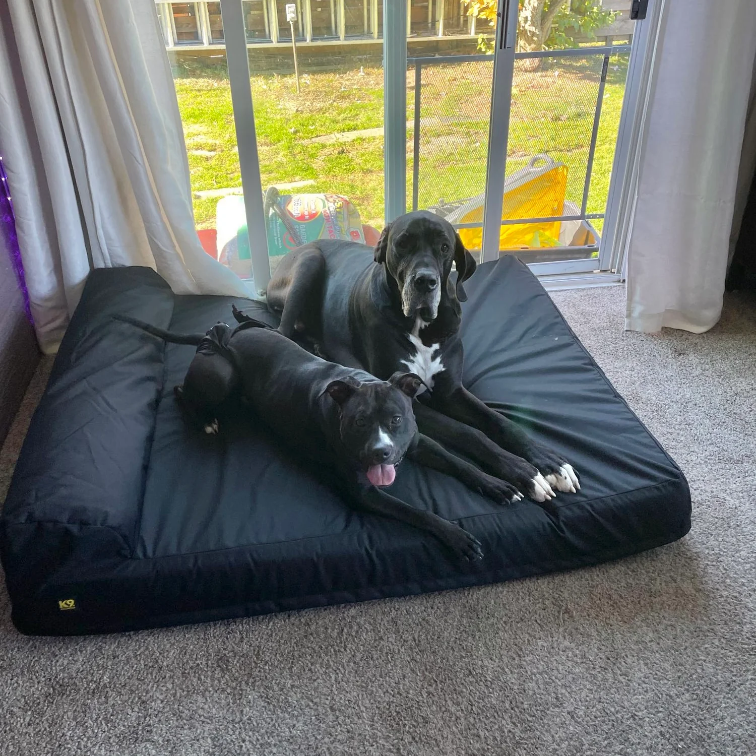 Tough Ripstop™ Giant 7" Orthopedic Dog Bed - Image 6