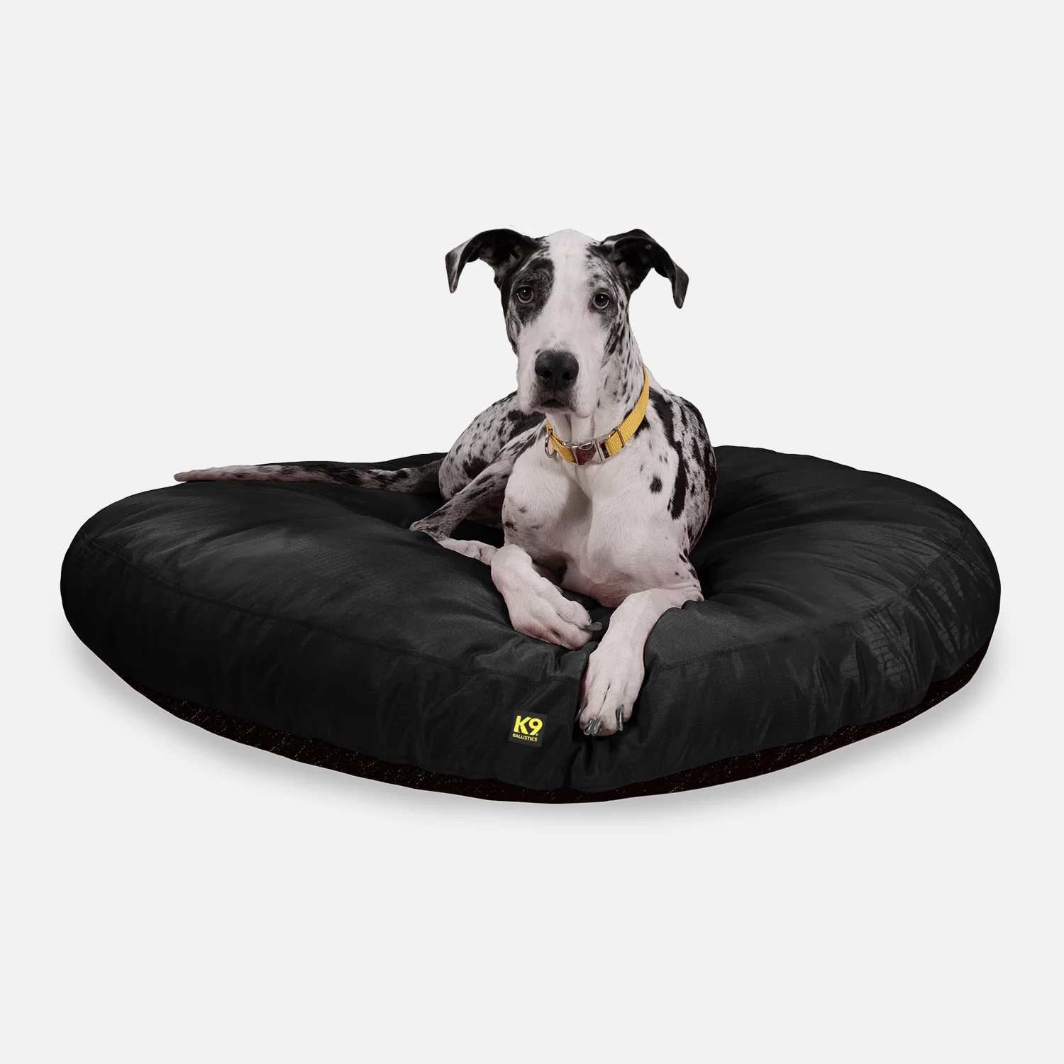 Extra Large & Giant Dog Beds