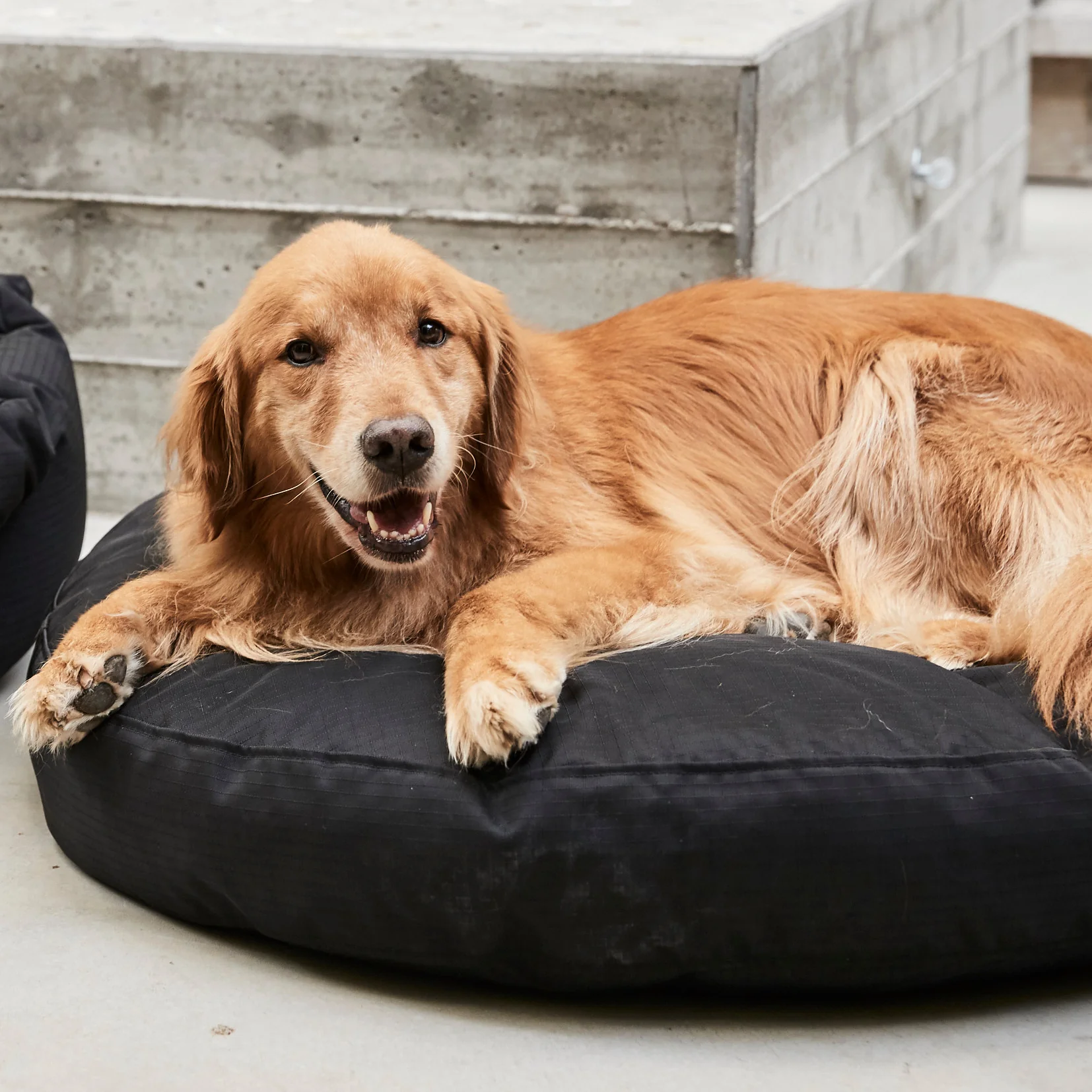 Tough Ripstop™ Round Pillow Dog Bed - Image 18